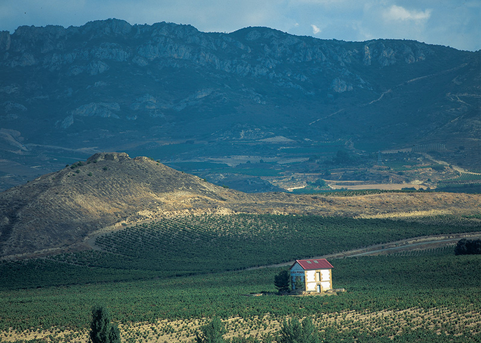 Viña Pomal Gran Reserva 2010