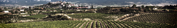 Graciano 2012, D.O. Ca. Rioja, Bodega Casa Primicia