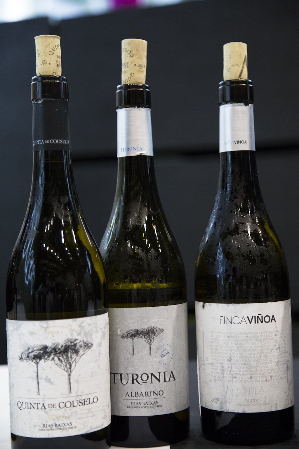 Cata Wines from Galicia
