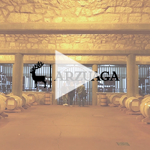 Visita a Bodegas Arzuaga