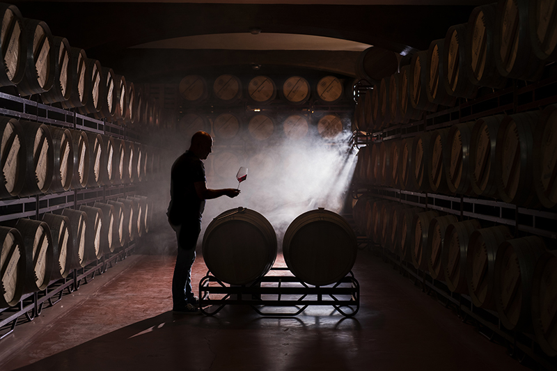 Bodegas Faustino