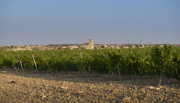 Bodegas Pago del Cielo